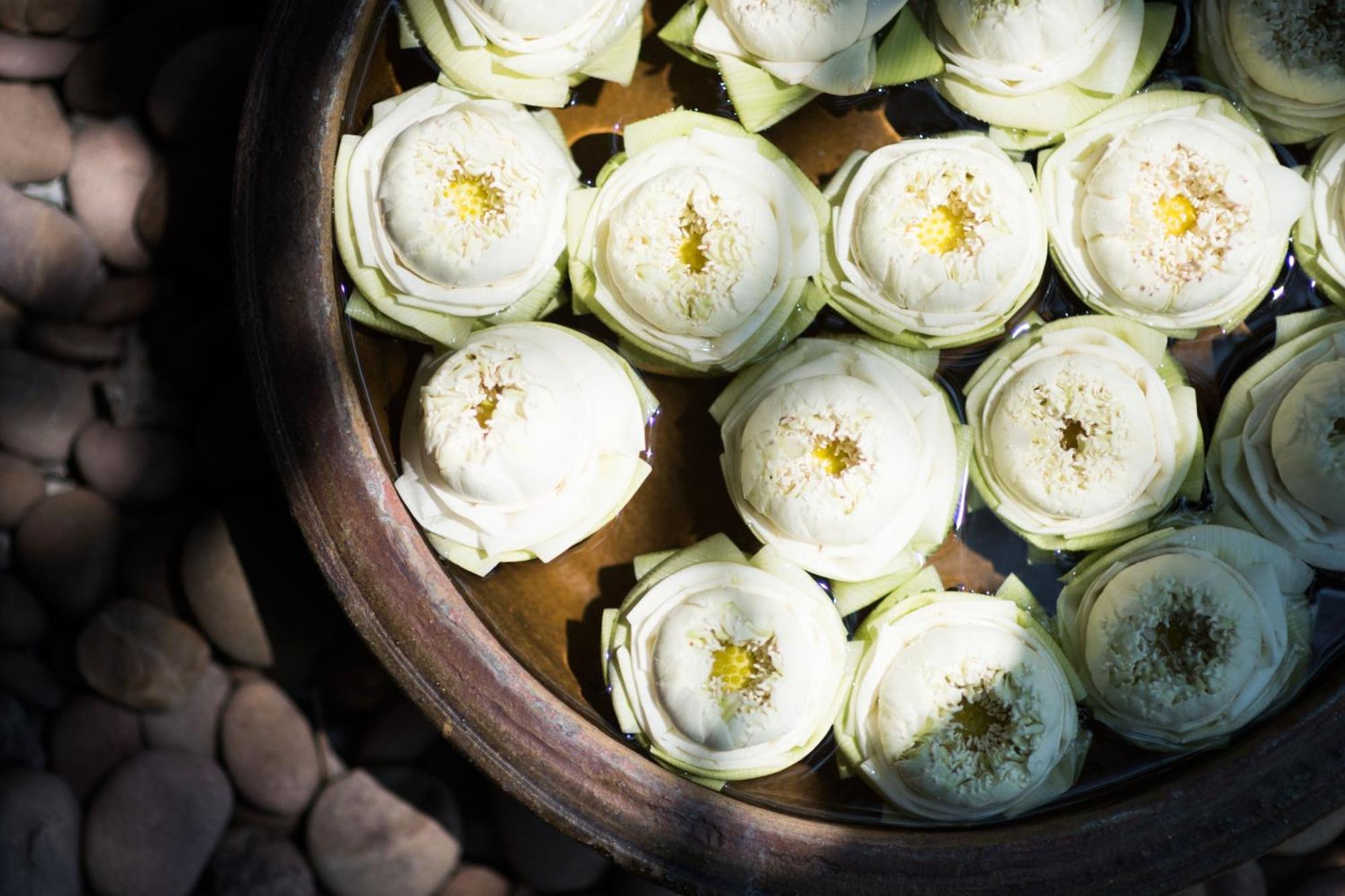 Sheraton Grande Sukhumvit, A Luxury Collection Hotel, Μπανγκόκ Εξωτερικό φωτογραφία White lotus flowers
